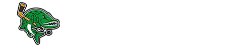 Hokejový klub Nové Mesto nad Váhom